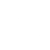 fetch! Dog Treats